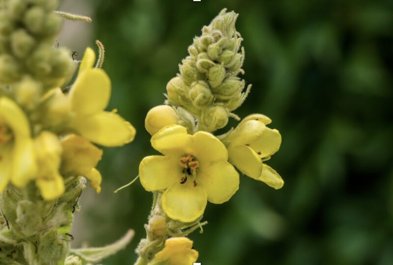 Bildschirmfoto 2024 11 21 um 18 07 47