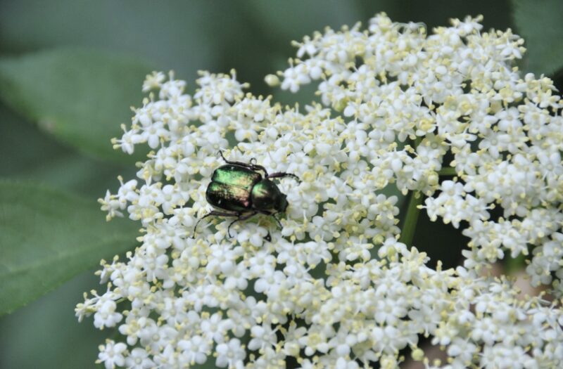 Bildschirmfoto 2024 11 21 um 18 08 11