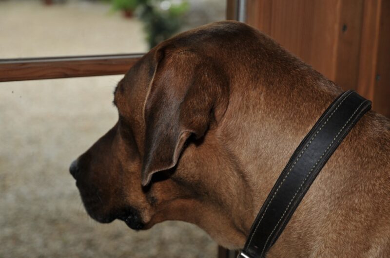 Bildschirmfoto 2024 11 21 um 18 09 20