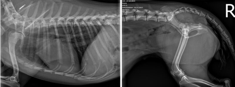 Bildschirmfoto 2024 11 24 um 11 20 22