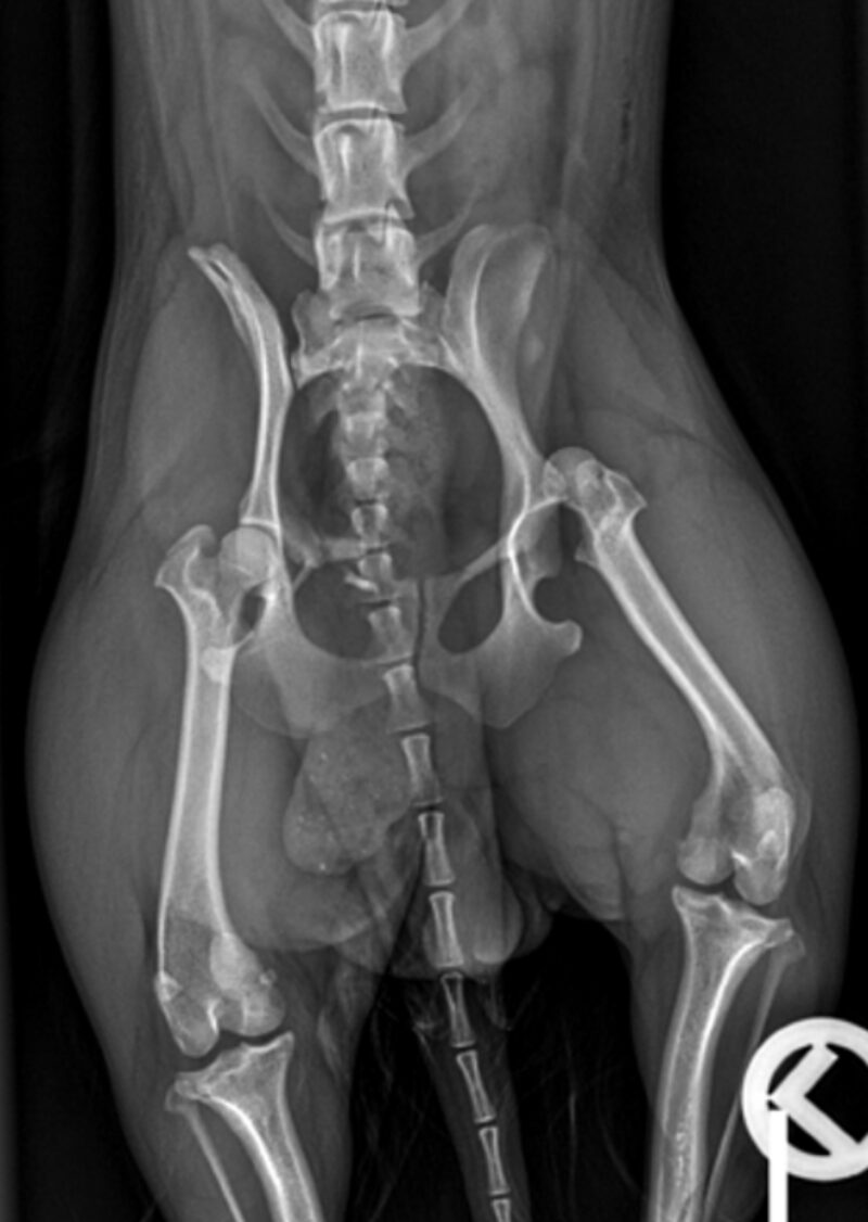 Bildschirmfoto 2024 11 24 um 11 21 35