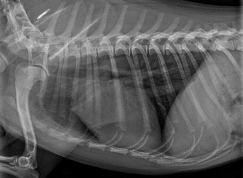 Bildschirmfoto 2024 11 24 um 11 24 11