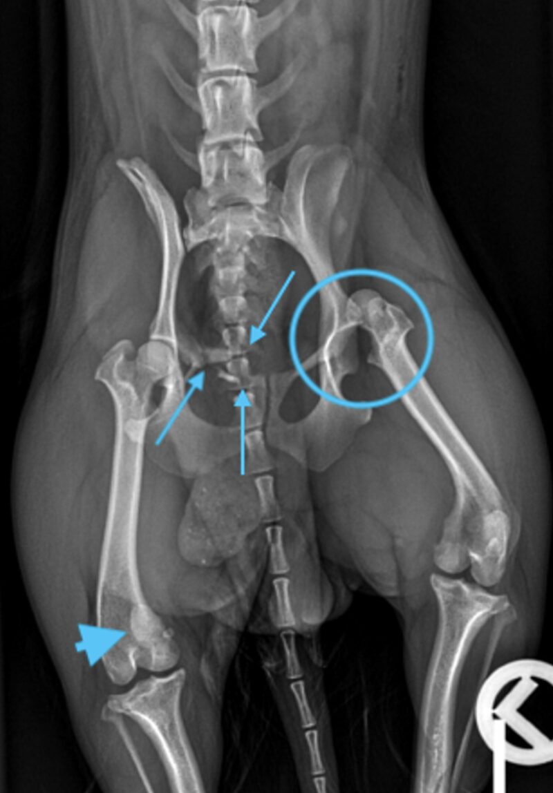 Bildschirmfoto 2024 11 24 um 11 25 56