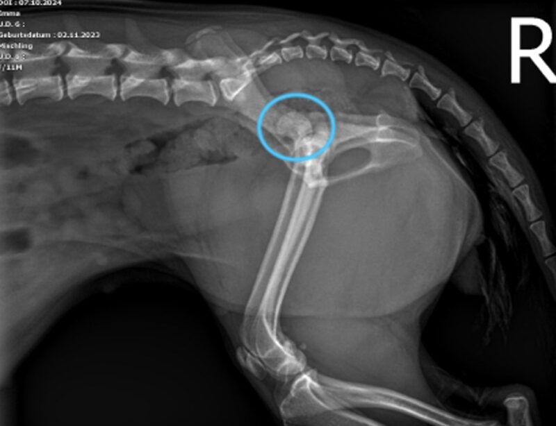 Bildschirmfoto 2024 11 24 um 11 26 05