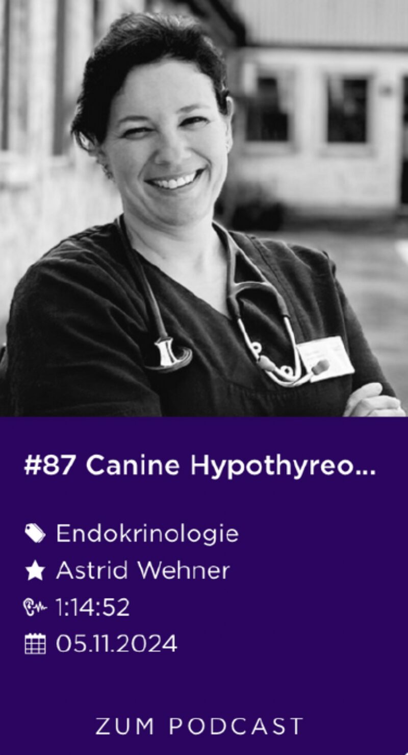 Bildschirmfoto 2024 11 24 um 12 14 06