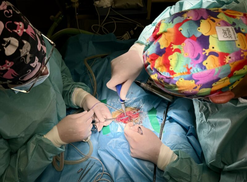 Bildschirmfoto 2024 11 28 um 18 36 01