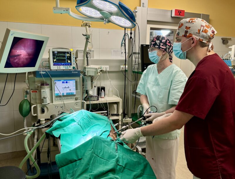 Bildschirmfoto 2024 11 28 um 18 46 11