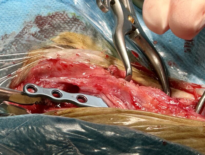 Bildschirmfoto 2024 11 28 um 18 50 43