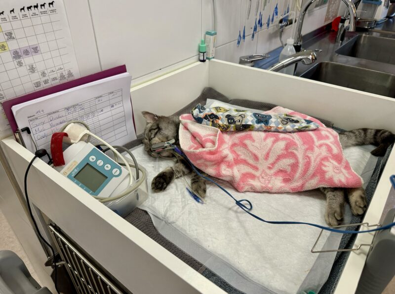 Bildschirmfoto 2024 11 28 um 18 51 58