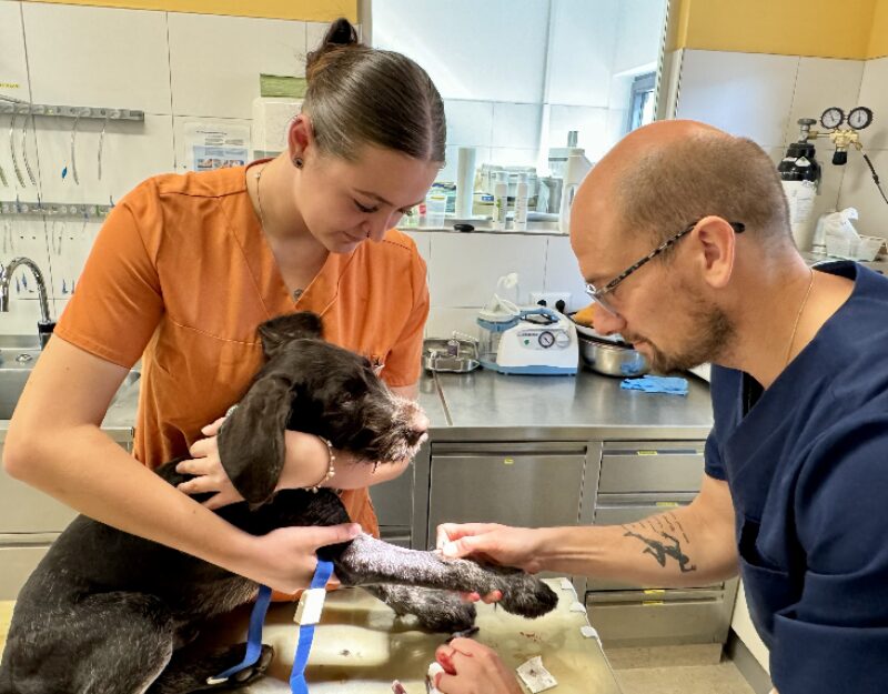 Bildschirmfoto 2024 11 28 um 18 52 43