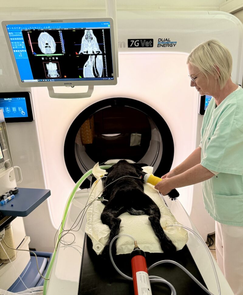 Bildschirmfoto 2024 11 28 um 19 01 50