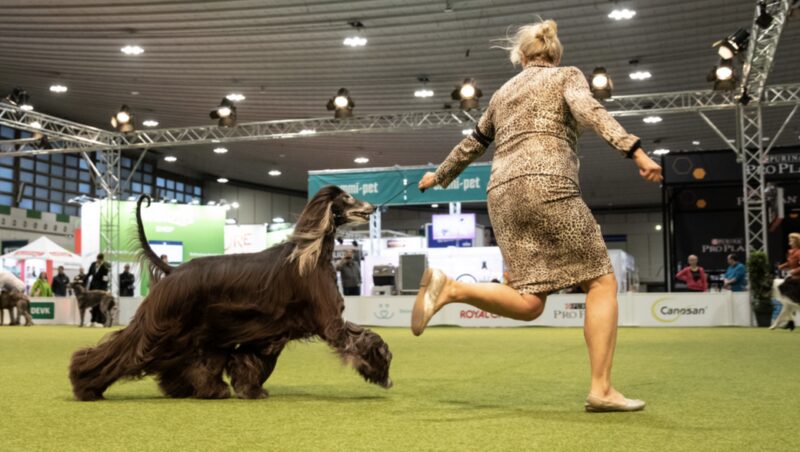 Bildschirmfoto 2024 12 08 um 14 24 22