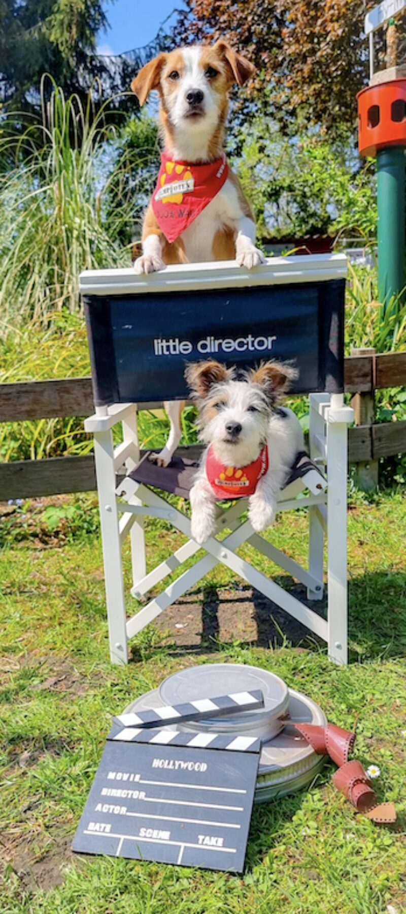 Bildschirmfoto 2024 12 08 um 14 26 08