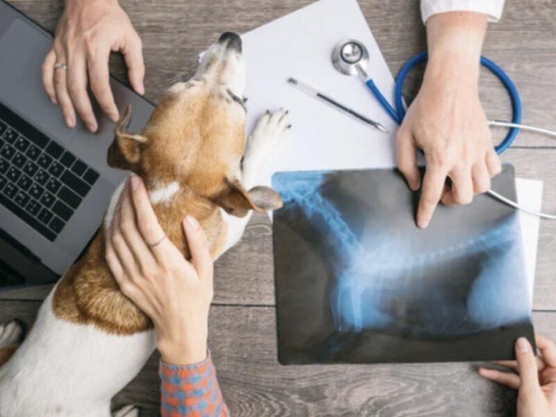 Bildschirmfoto 2024 12 10 um 11 14 48