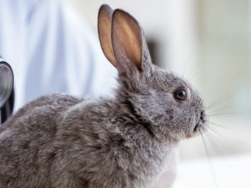 Bildschirmfoto 2024 12 10 um 11 14 56