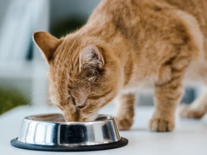 Bildschirmfoto 2024 12 10 um 11 15 49