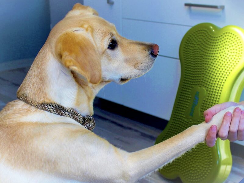 Bildschirmfoto 2024 12 10 um 11 15 56