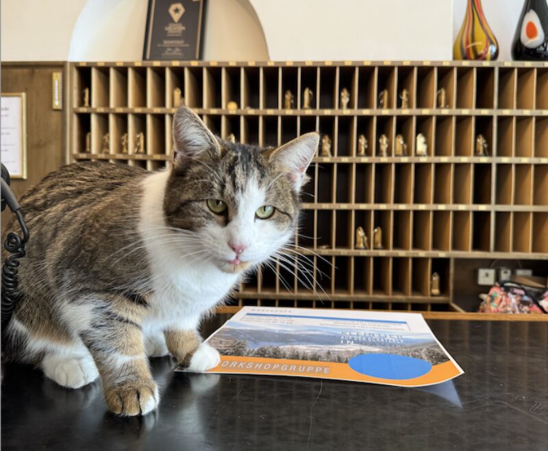 Bildschirmfoto 2024 12 14 um 13 20 59