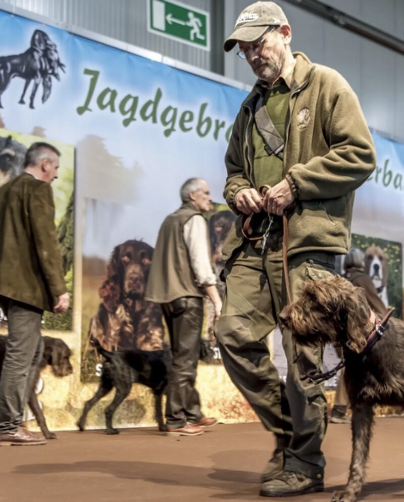 Bildschirmfoto 2024 12 16 um 13 41 47