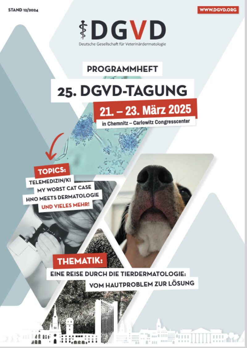 Bildschirmfoto 2024 12 17 um 08 25 02