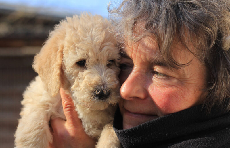 571e34e0 85c9 45d7 965a 1283efe259fa