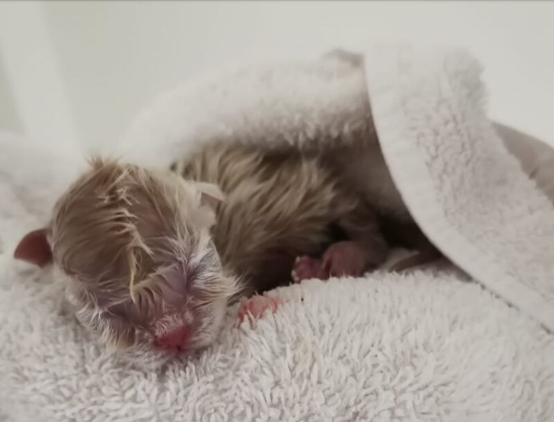 Bildschirmfoto 2025 01 16 um 08 21 47