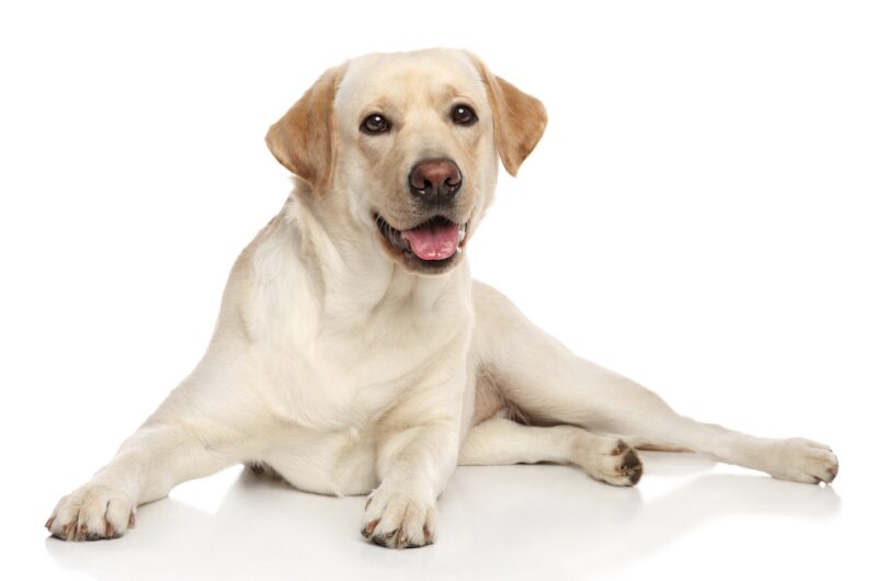 Bildschirmfoto 2025 01 22 um 11 01 50