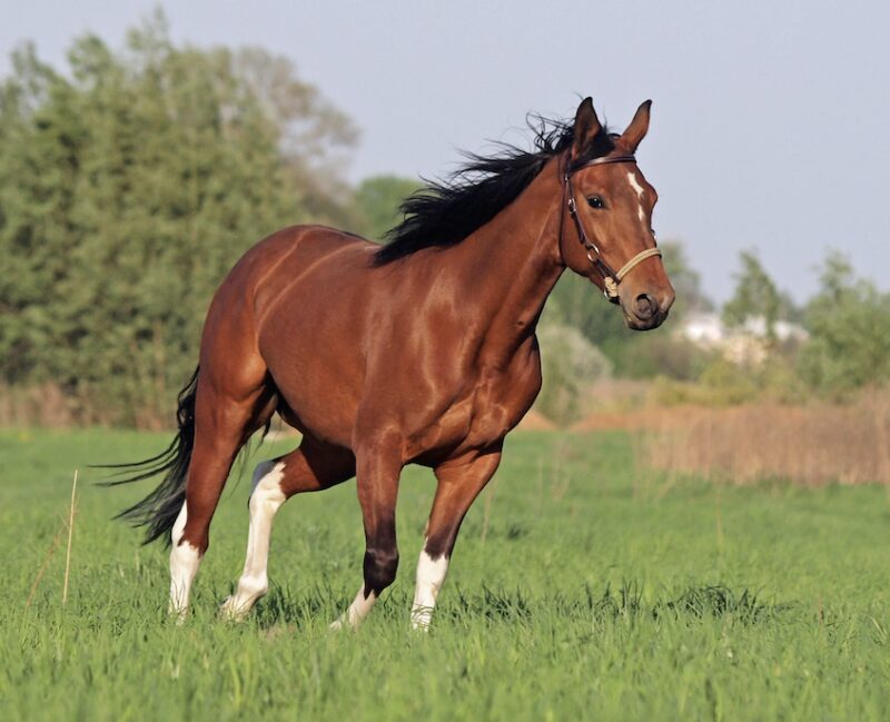 Bildschirmfoto 2025 01 22 um 11 03 12