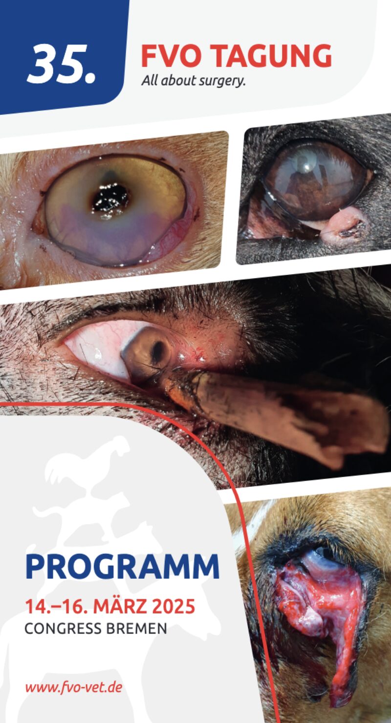 Bildschirmfoto 2025 01 25 um 15 13 53