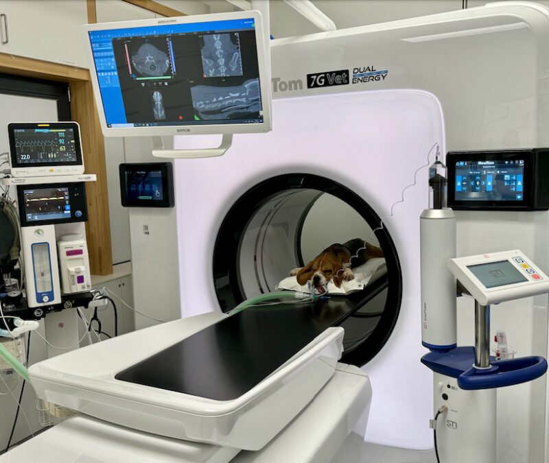 Bildschirmfoto 2025 01 27 um 13 53 25