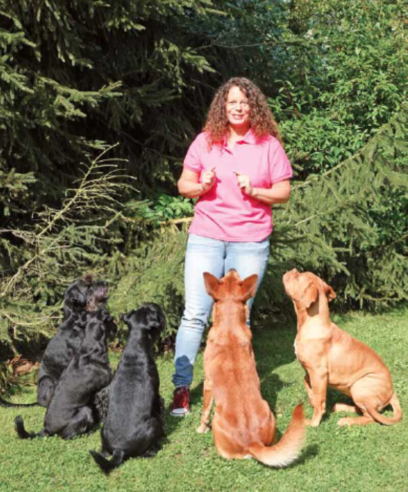 Bildschirmfoto 2020 03 24 um 09 33 44