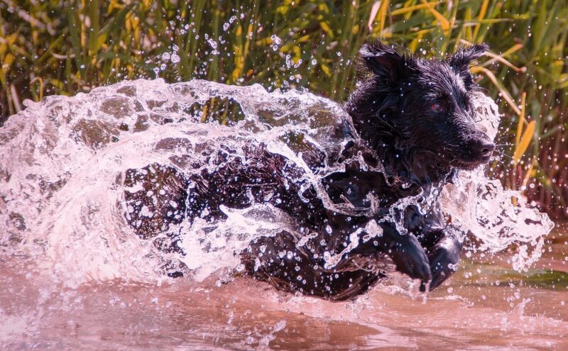 57e5d4444d56ad14f6da8c7dda35367b1c3adbec5357714e 1280