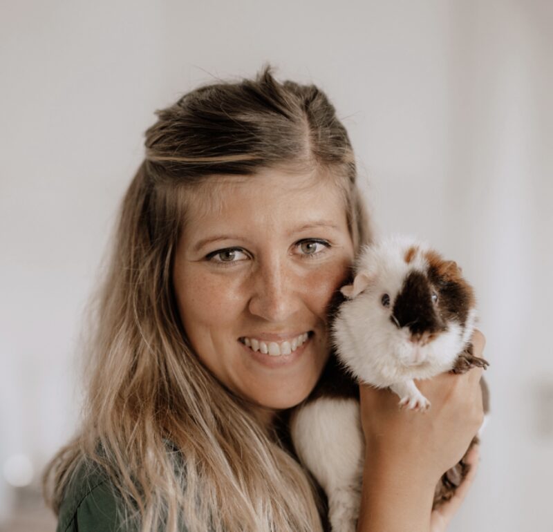 Bildschirmfoto 2025 02 04 um 17 07 59