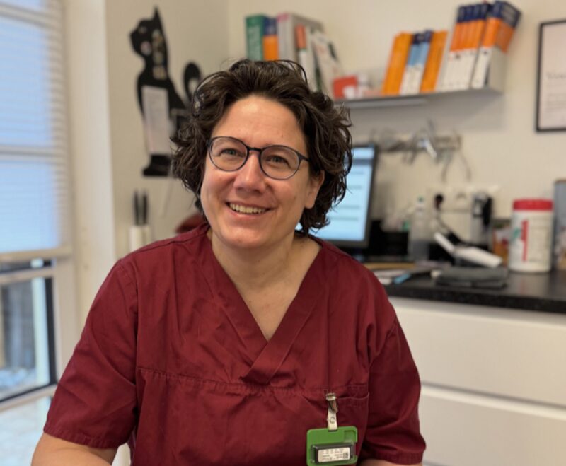 Bildschirmfoto 2025 02 03 um 11 01 41