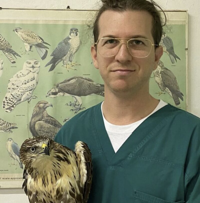 Bildschirmfoto 2025 02 06 um 13 19 27