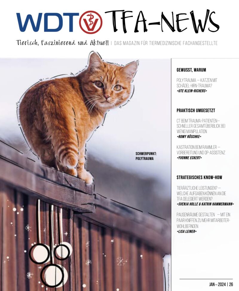 Bildschirmfoto 2025 02 15 um 16 59 58