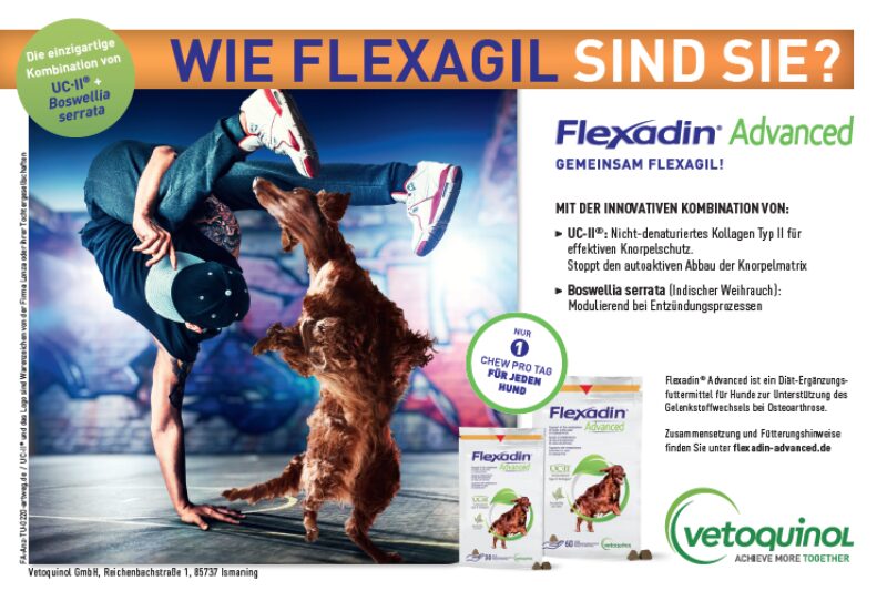 Bildschirmfoto 2020 03 25 um 14 22 37