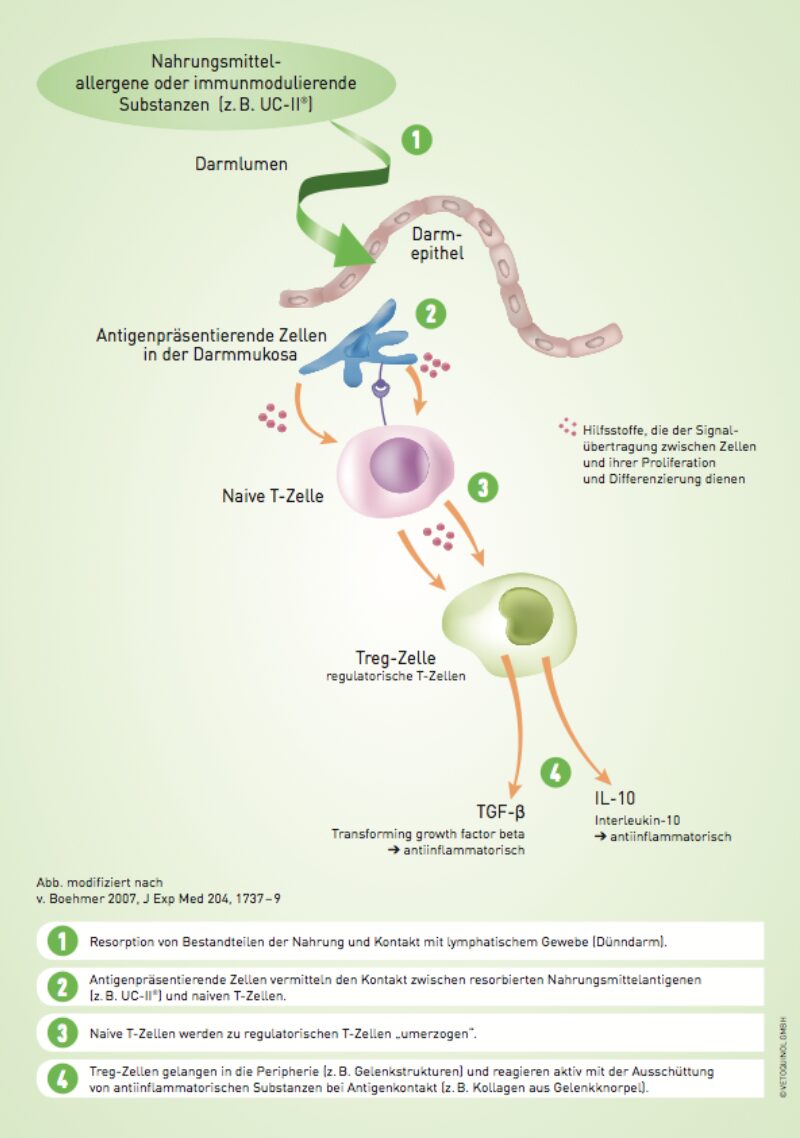 Bildschirmfoto 2020 03 25 um 15 12 51