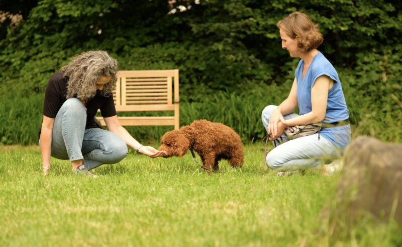 Bildschirmfoto 2025 02 18 um 12 55 54