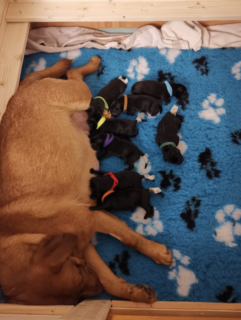 Bildschirmfoto 2025 02 18 um 12 57 04