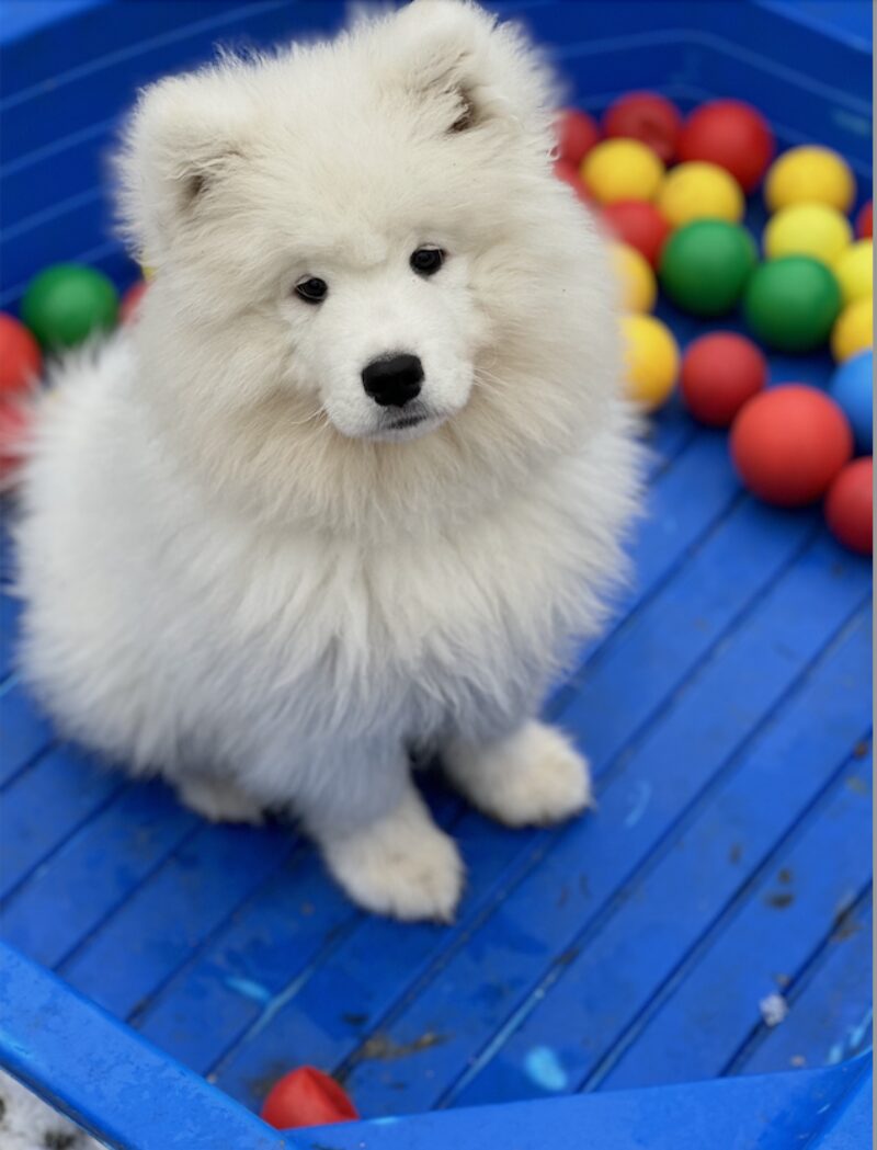 Bildschirmfoto 2025 02 18 um 12 57 36