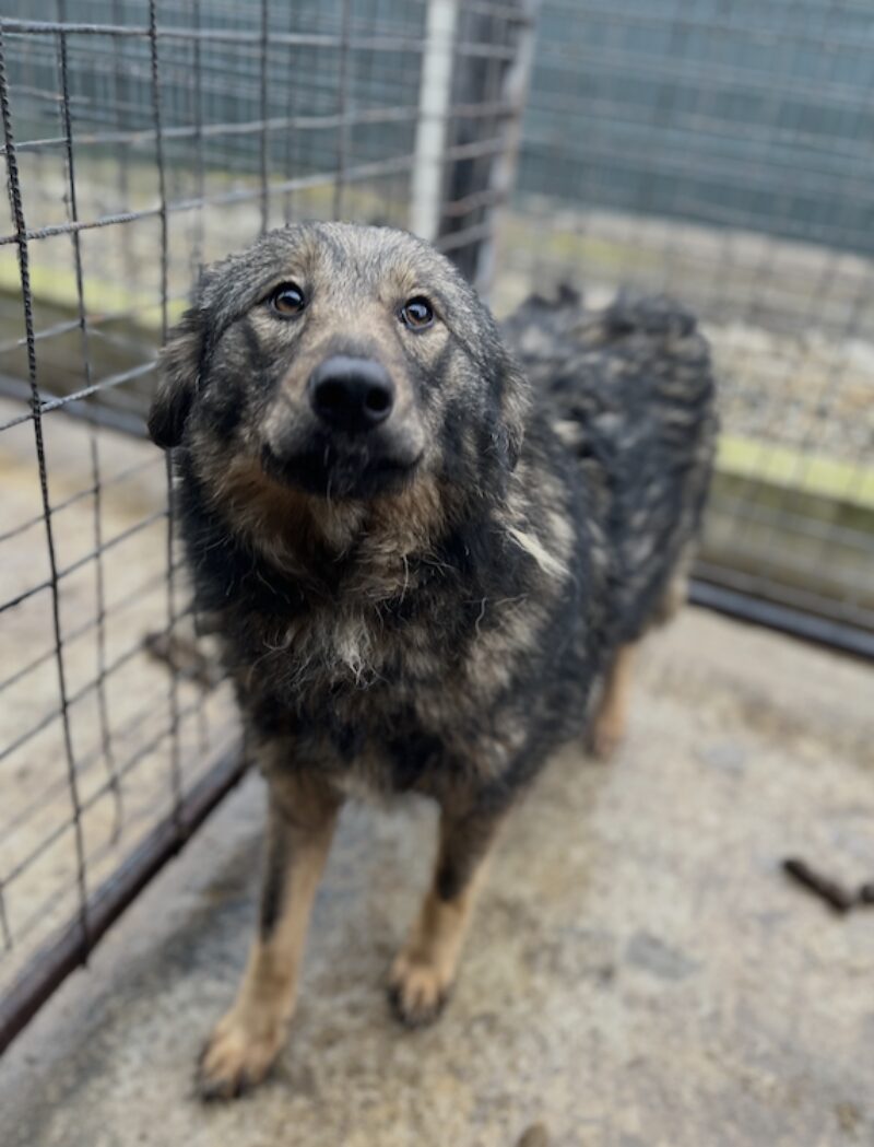 Bildschirmfoto 2025 02 18 um 12 57 51