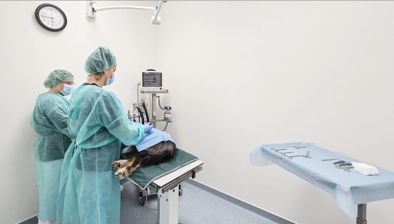 Bildschirmfoto 2025 02 20 um 08 26 28