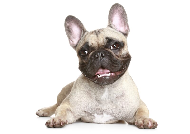 Bildschirmfoto 2025 02 20 um 08 33 42