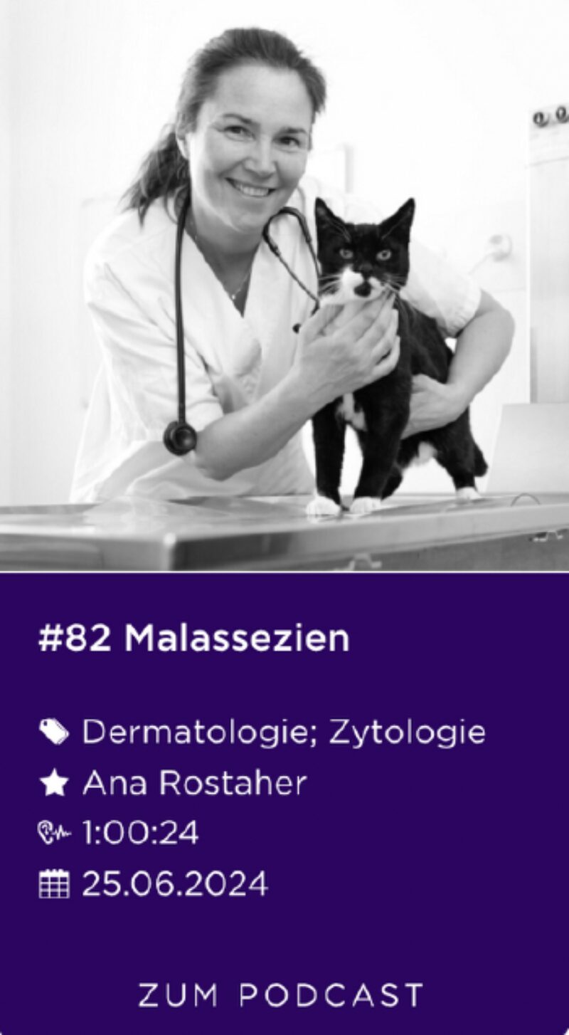 Bildschirmfoto 2025 02 20 um 13 23 04