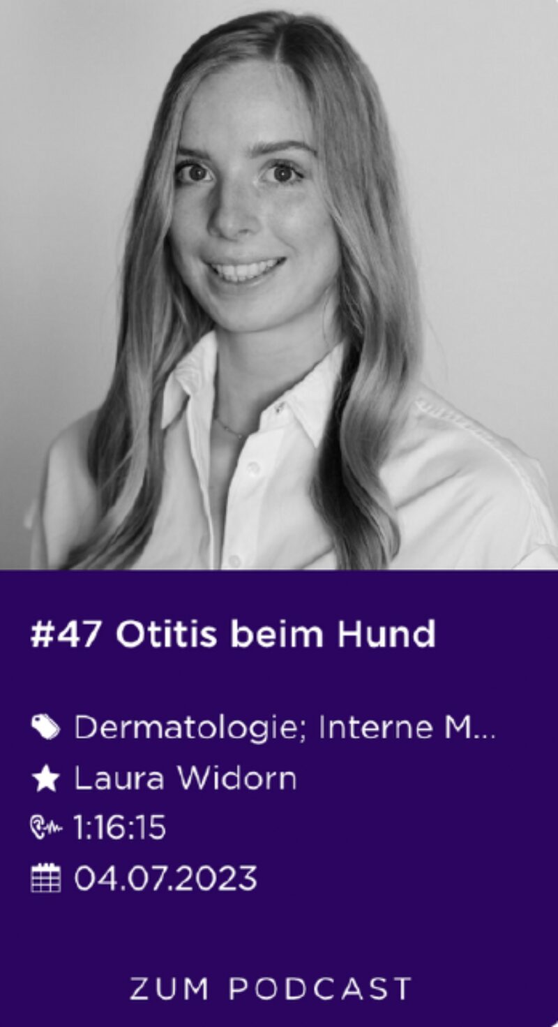 Bildschirmfoto 2025 02 20 um 13 23 17