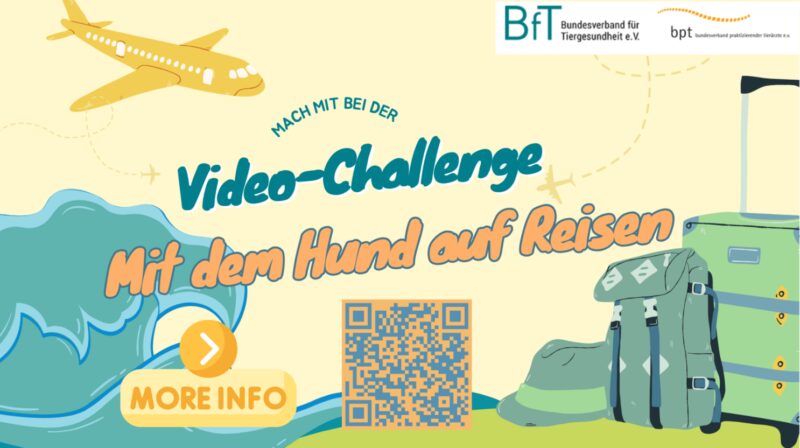 Videochallenge Info Karte bb763fcc 924f645a 1486w2x