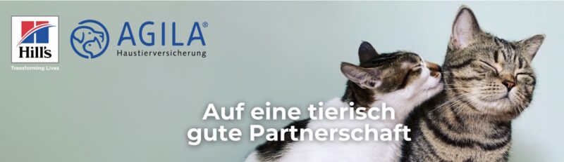 Bildschirmfoto 2025 02 24 um 18 29 31