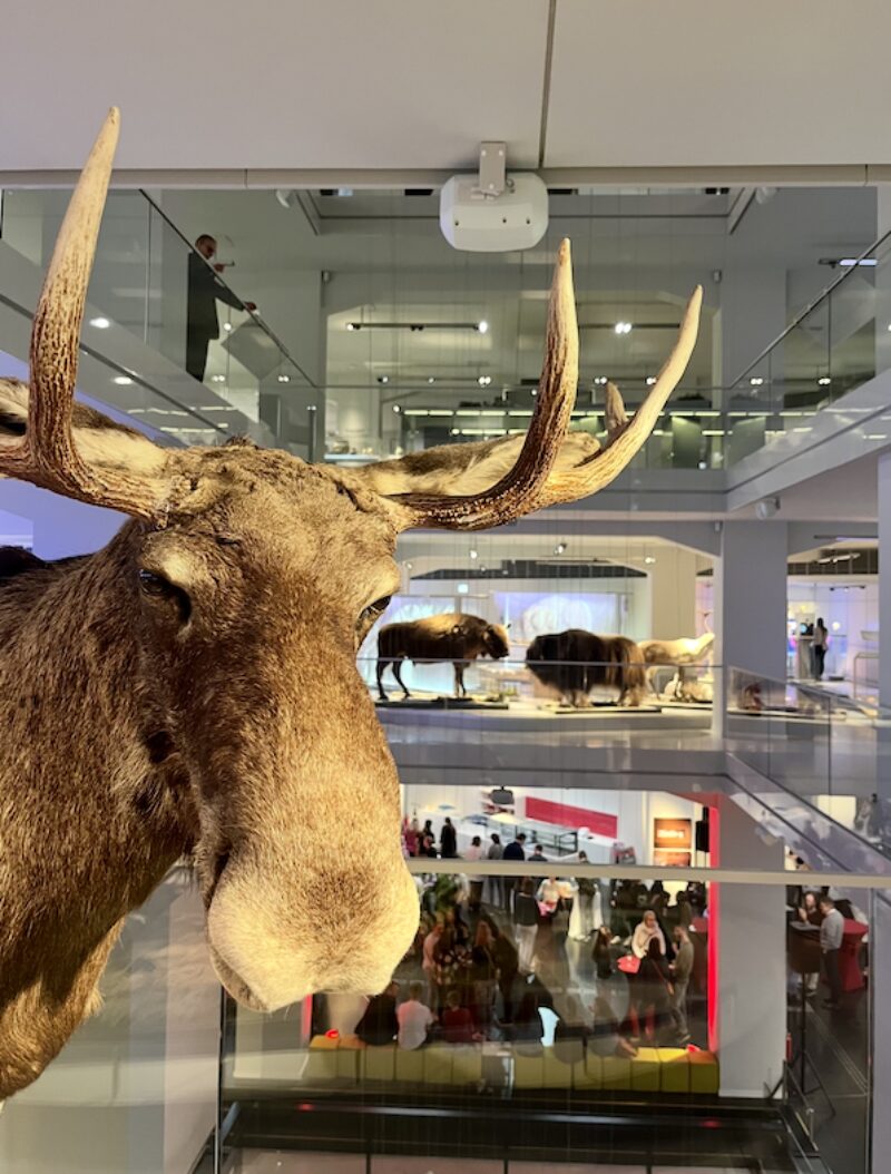 Bildschirmfoto 2025 02 24 um 22 12 51