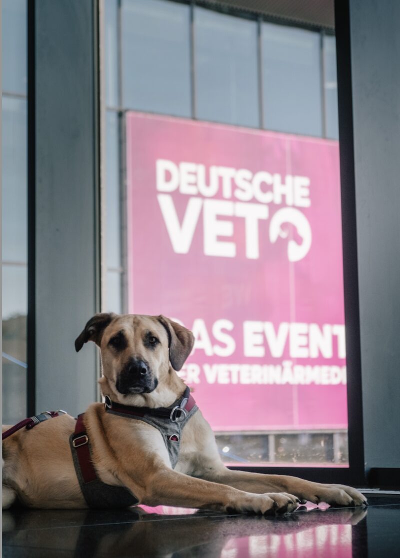 Bildschirmfoto 2025 03 17 um 18 38 29